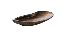 7013415/ 002623 SHELLS SKLEDA 15x7cm