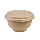 FP BIO SKLEDA ZA SOLATO S POKROVOM 680ml 50/1 210APUBCOM